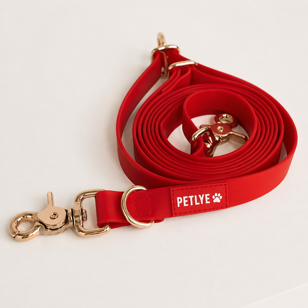 PETLYE Dog Collar & Leash Set