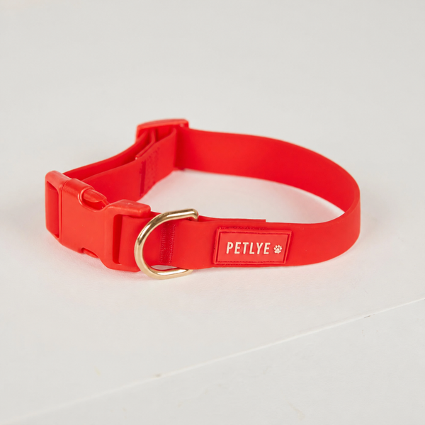 PETLYE Adjustable Dog Collar